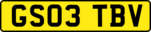 GS03TBV