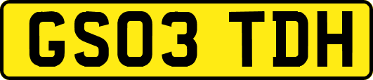 GS03TDH