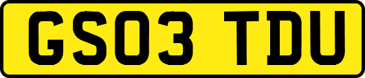 GS03TDU