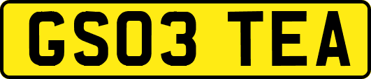 GS03TEA