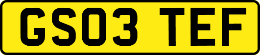 GS03TEF