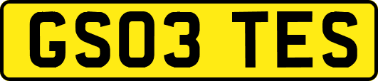 GS03TES