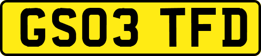 GS03TFD