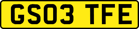 GS03TFE