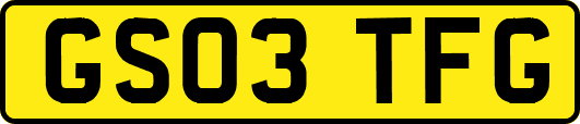 GS03TFG