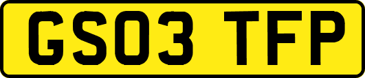 GS03TFP