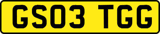 GS03TGG