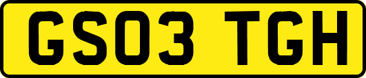 GS03TGH