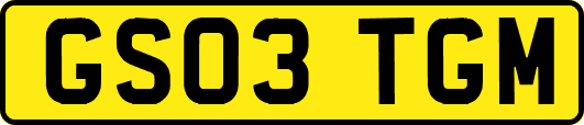 GS03TGM
