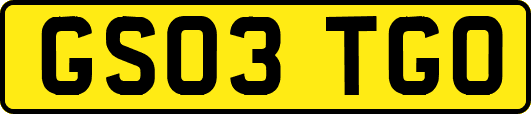 GS03TGO