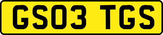 GS03TGS