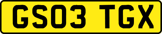 GS03TGX