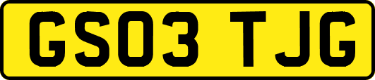 GS03TJG