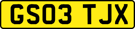 GS03TJX