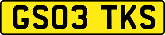 GS03TKS