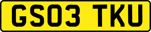 GS03TKU