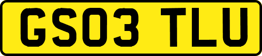 GS03TLU