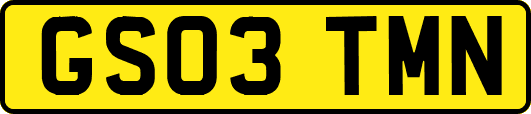 GS03TMN