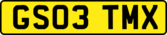 GS03TMX