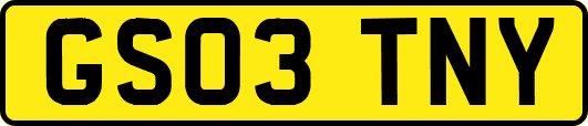 GS03TNY