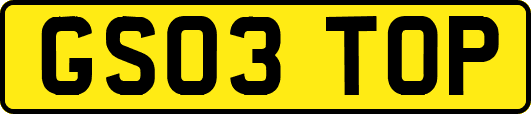 GS03TOP