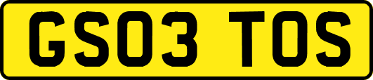 GS03TOS