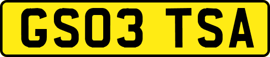 GS03TSA