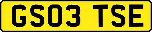 GS03TSE