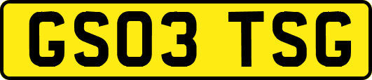 GS03TSG