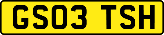 GS03TSH