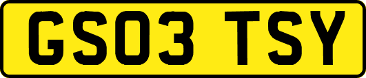 GS03TSY