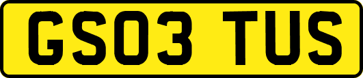 GS03TUS