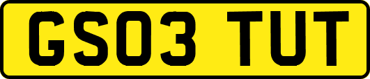 GS03TUT