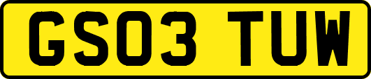 GS03TUW