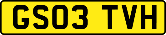 GS03TVH