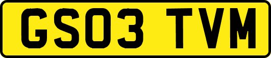GS03TVM