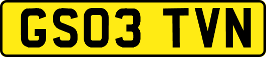 GS03TVN