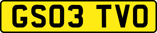 GS03TVO