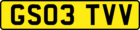 GS03TVV