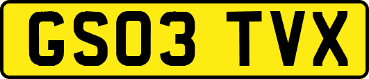 GS03TVX