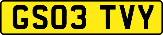 GS03TVY
