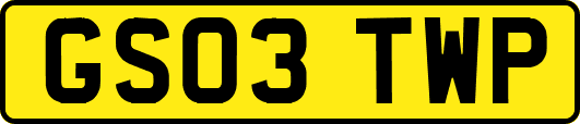 GS03TWP