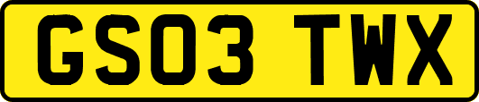 GS03TWX