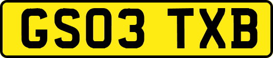 GS03TXB