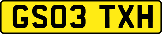 GS03TXH