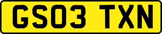 GS03TXN