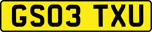 GS03TXU