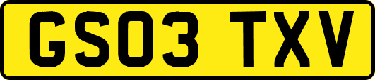 GS03TXV