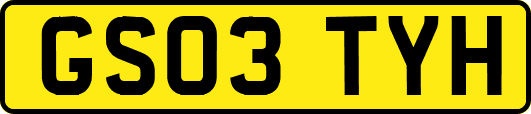 GS03TYH