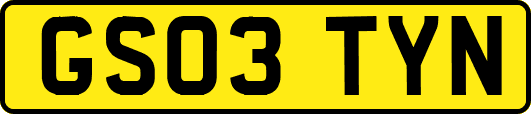 GS03TYN